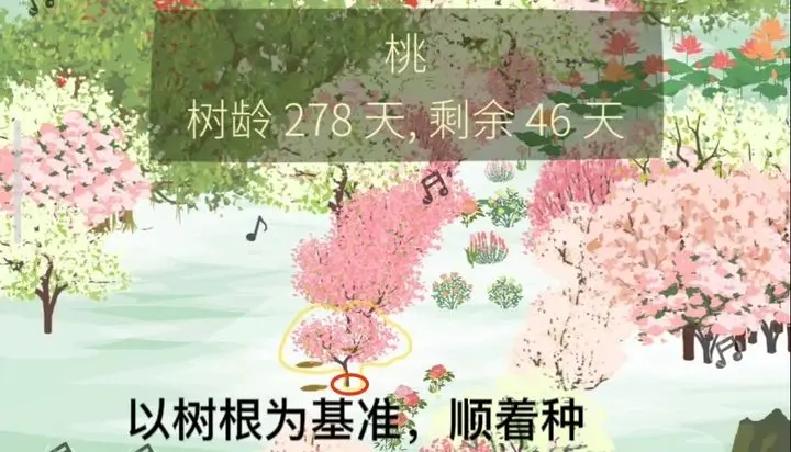 老农种树山路种植小技巧