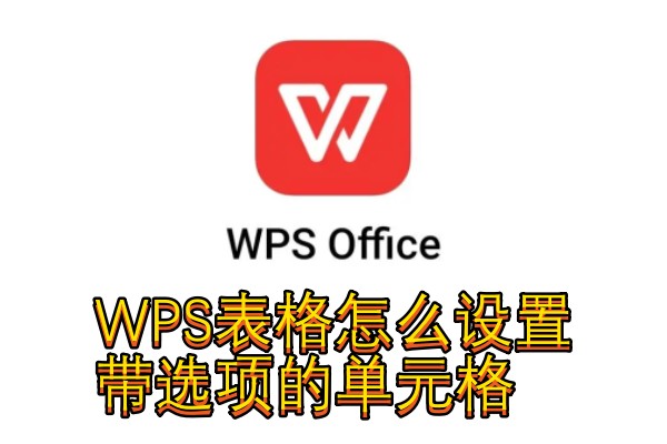 WPS表格怎么设置带选项的单元格