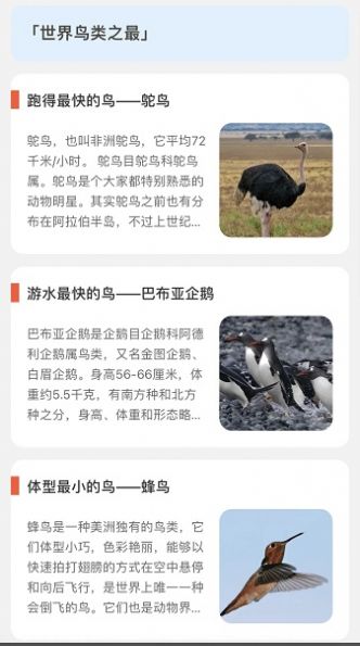 青鸟看看app截图3