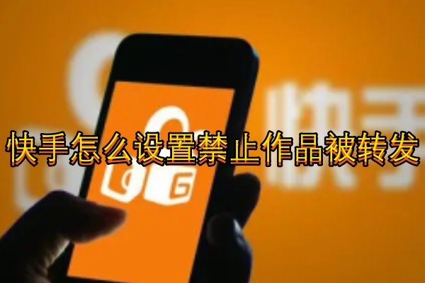 快手怎么设置禁止作品被转发