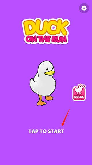 奔跑的鸭子Duck on the Run