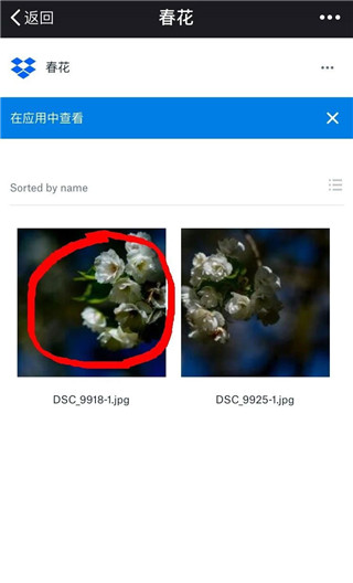 dropbox网盘