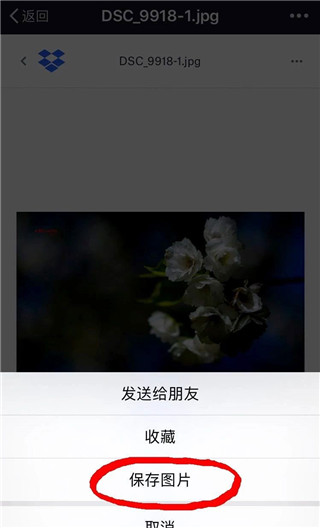 dropbox网盘