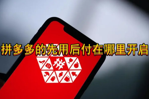 拼多多的先用后付在哪里开启