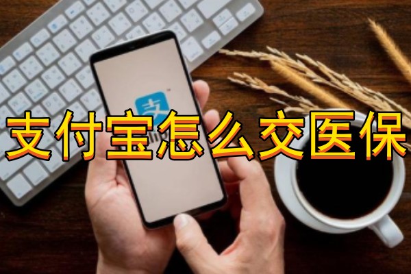 支付宝怎么交医保