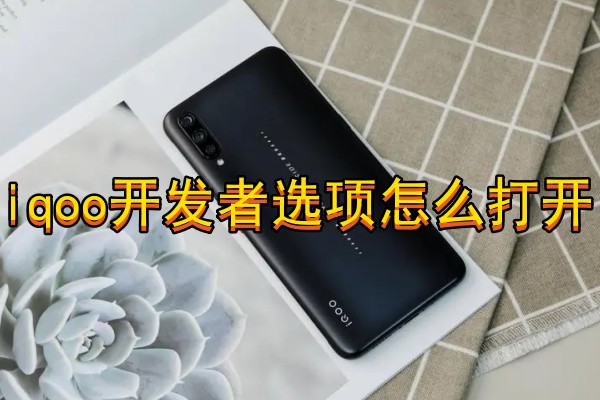 iqoo开发者选项怎么打开