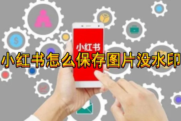 小红书怎么保存图片没水印