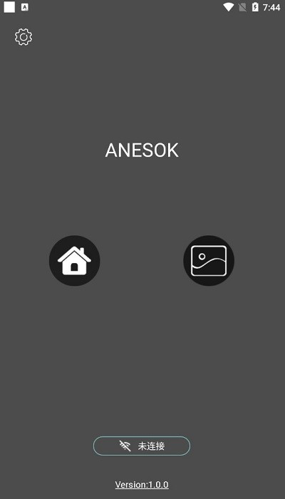 anesok