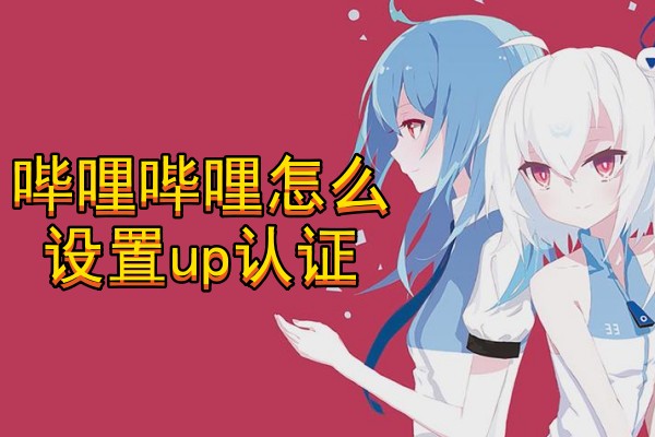 哔哩哔哩怎么设置up认证