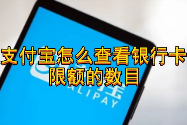 支付宝怎么查看银行卡限额的数目