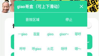 giao哥盒app