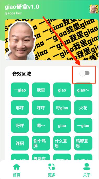 giao哥盒app