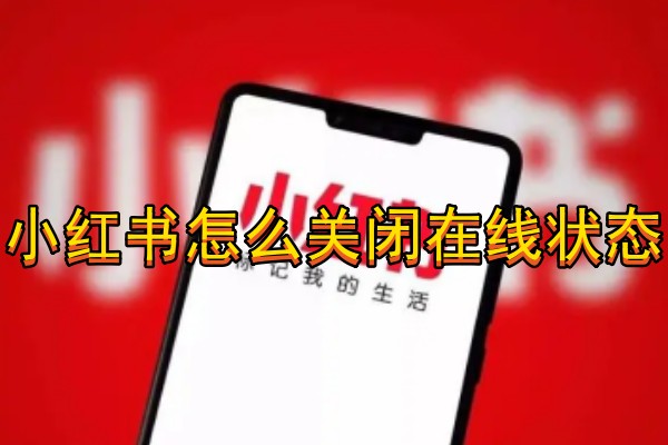 小红书怎么关闭在线状态