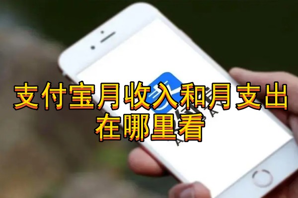 支付宝月收入和月支出在哪里看