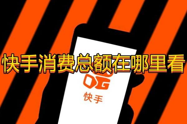 快手怎么看消费总账单记录