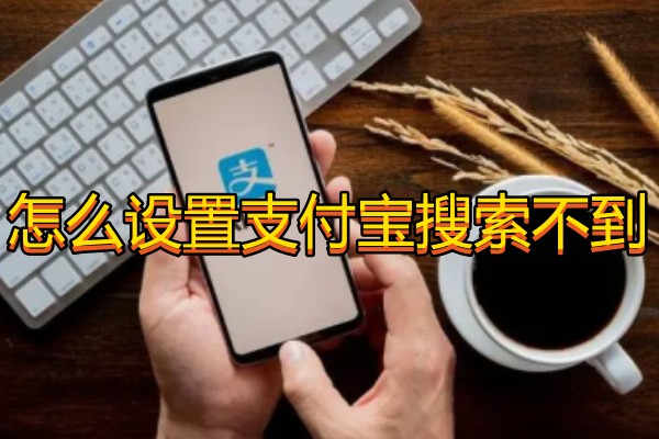 支付宝搜索设置
