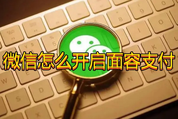 微信怎么开启面容支付