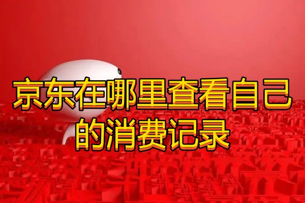 京东在哪里查看自己的消费记录