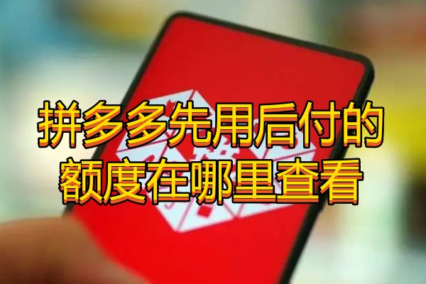拼多多先用后付的额度在哪里查看