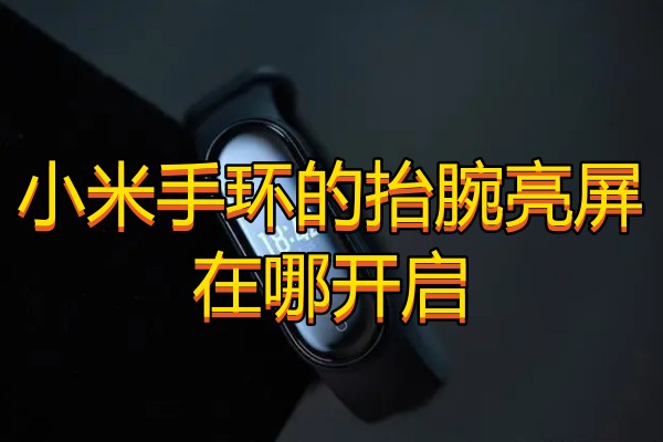 小米手环的抬腕亮屏在哪开启