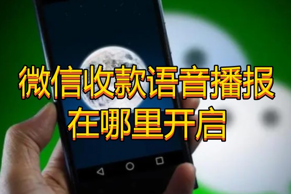 微信收款语音播报在哪里开启