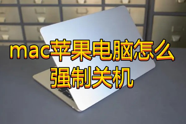 mac苹果电脑怎么强制关机