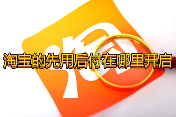 淘宝的先用后付在哪里开启