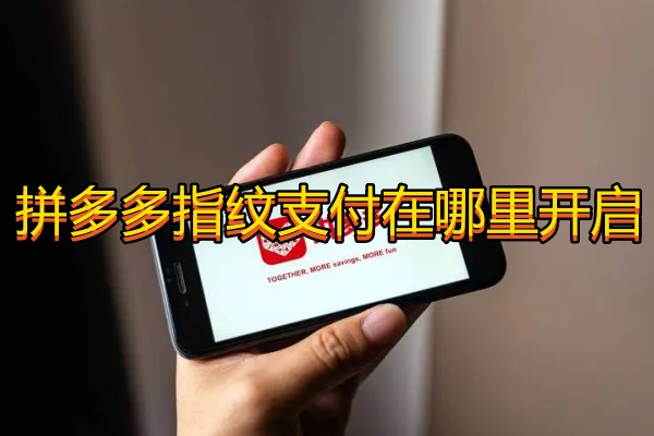 拼多多指纹支付在哪里开启
