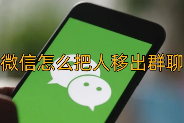 微信怎么把人移出群聊