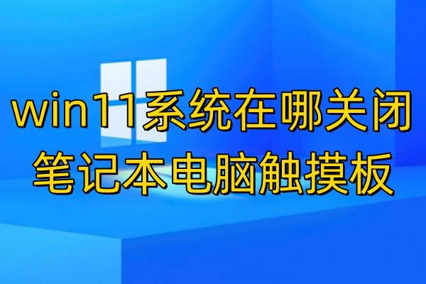 win11系统在哪关闭笔记本电脑触摸板