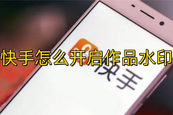 快手怎么开启作品水印