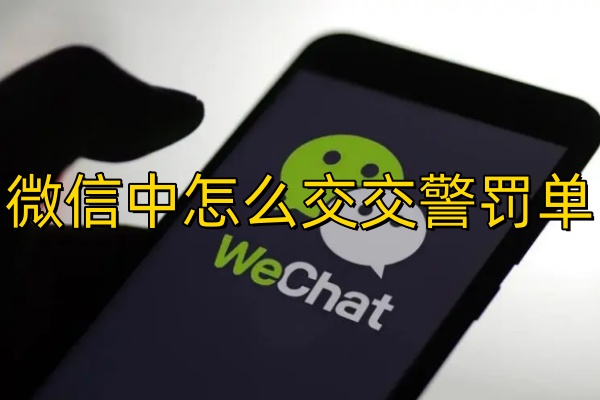 怎么在微信中交交警罚单