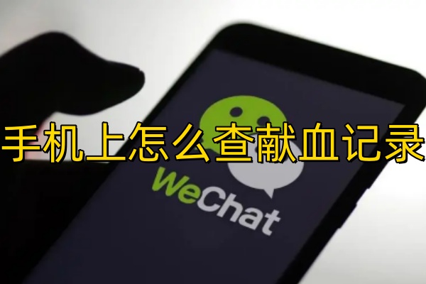 手机上怎么查献血记录