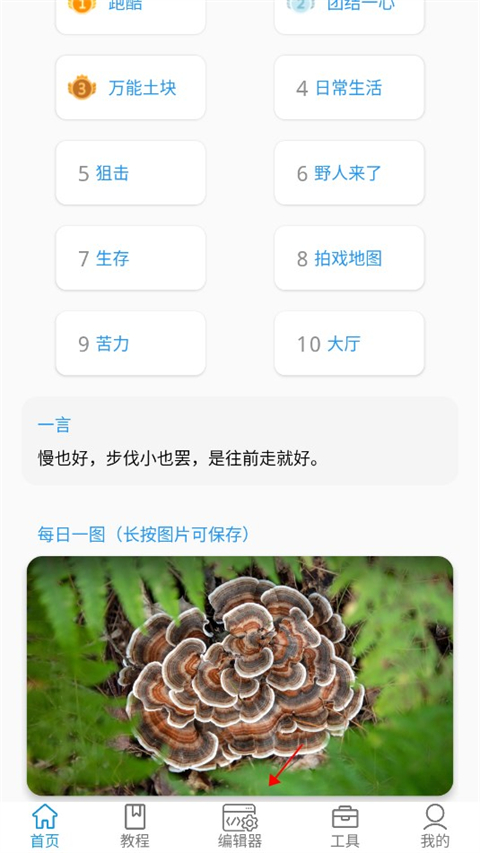 迷你开发者工具箱