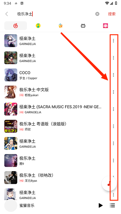 Dso Music最新版