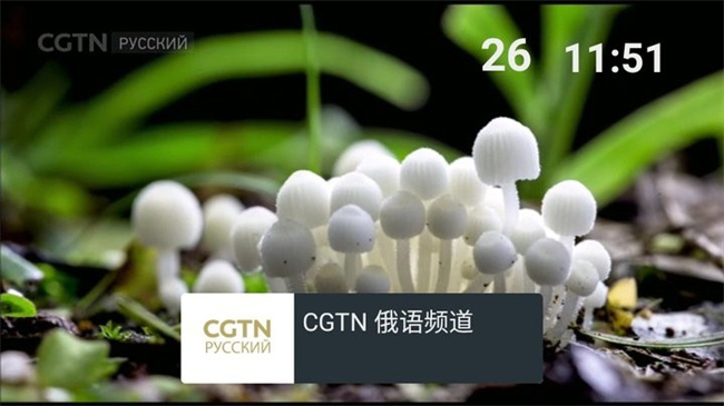 我的电视o