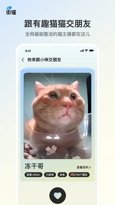 哈啰街猫app截图3