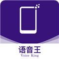 语音王