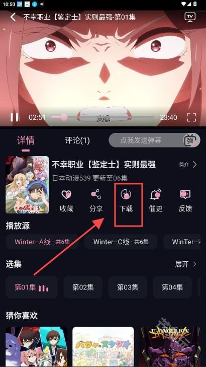 WinTer动漫