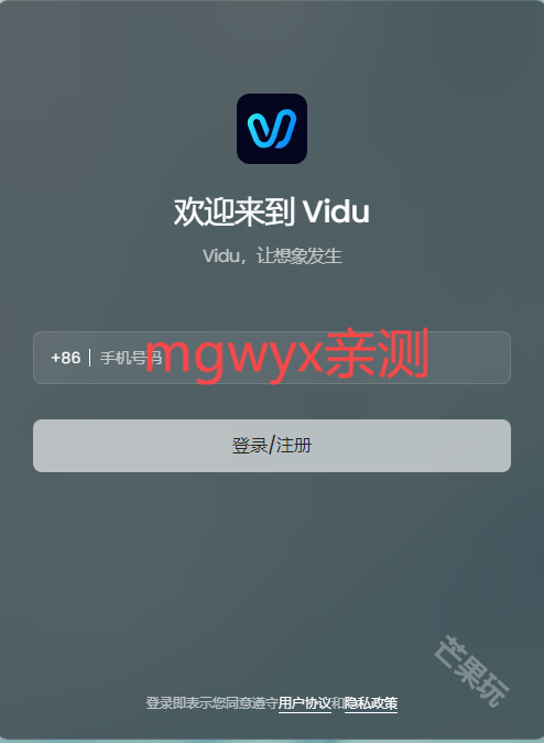 ViduAI