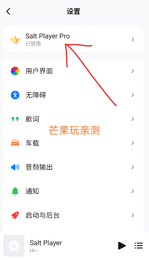 椒盐音乐pro版