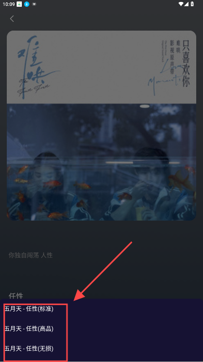 fly音乐plus最新版