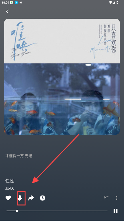fly音乐plus最新版