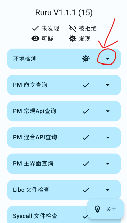 ruru环境检测