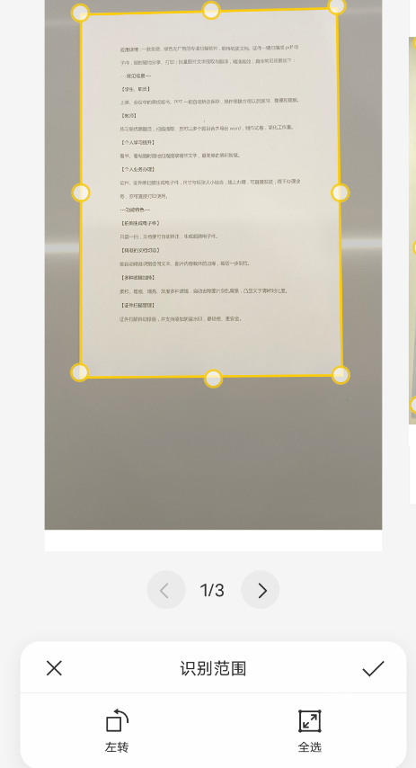 琥珀扫描