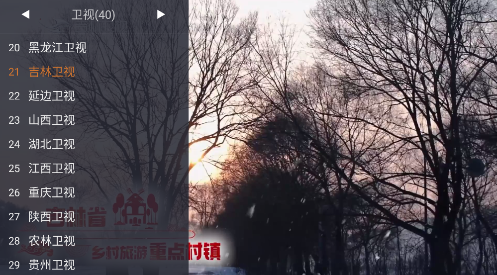 WebView电视最新版截图1