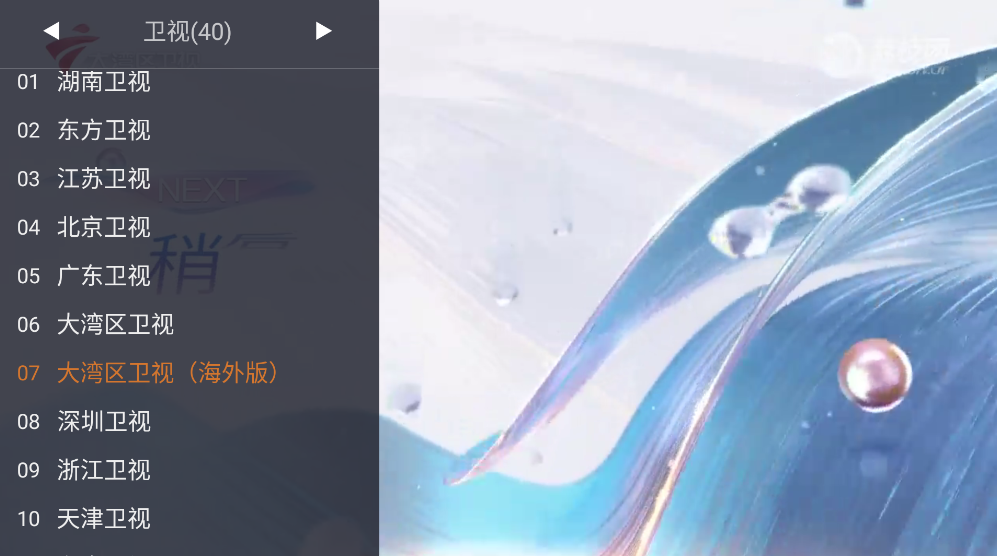 WebView电视最新版截图3