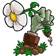 植物大战僵尸转基因版正式版