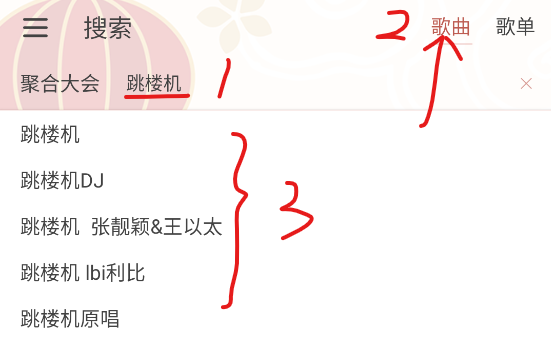 落雪音乐Pro版
