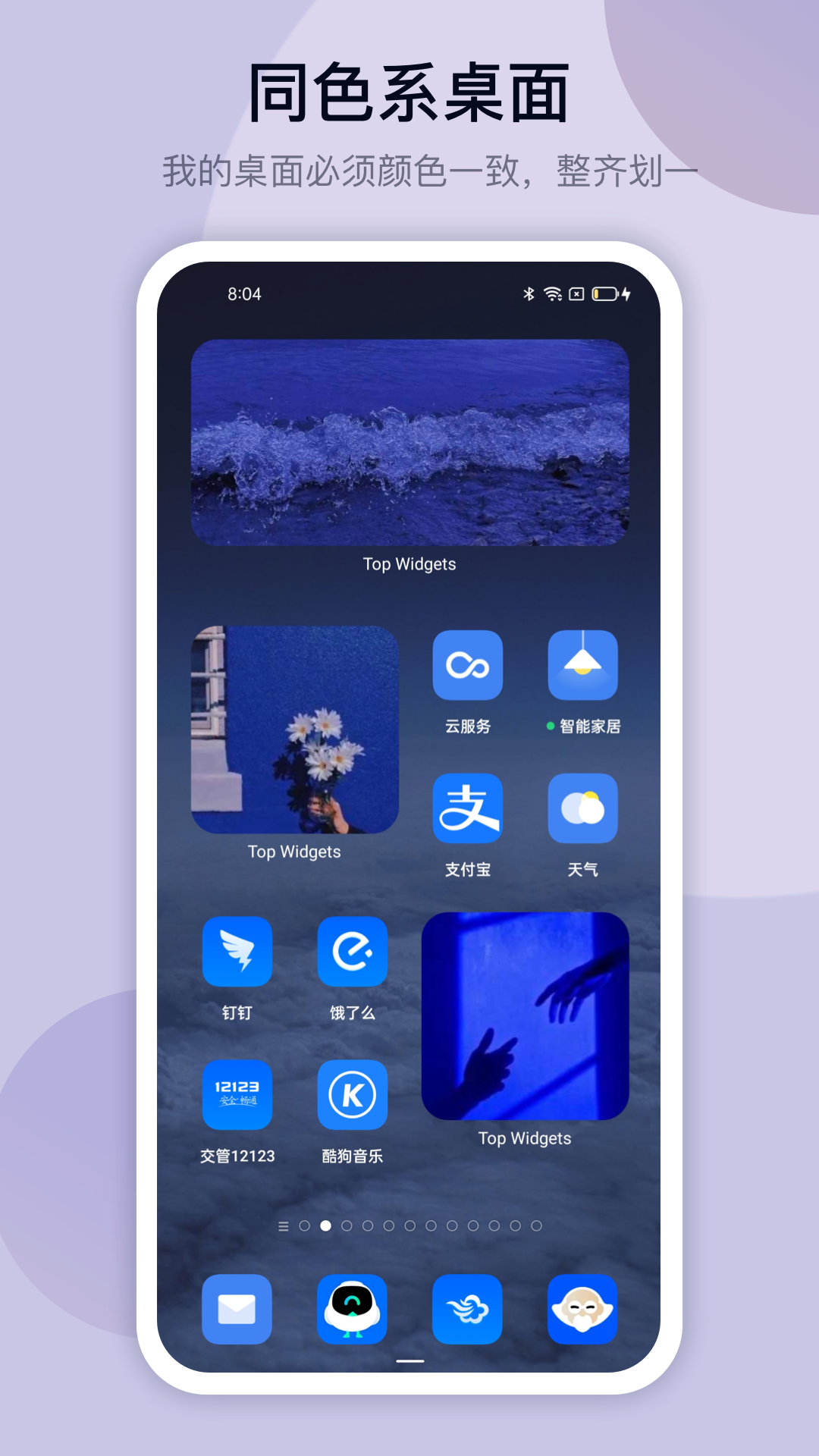 TopWidgets截图3